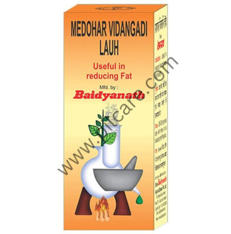 Baidyanath Medohar Vidangadi Lauh