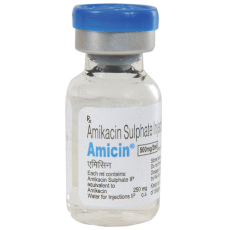Amicin 500mg Injection
