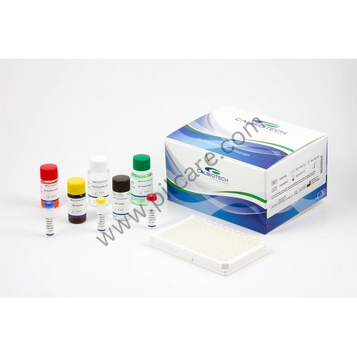 Dengue Igg Elisa Kit