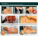 CPR Mannequin Half Body Training Model