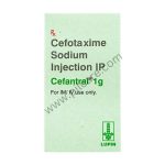 Cefentral 1gm Injection