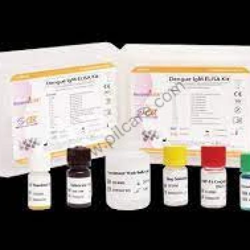 Chik Igm Elisa Kit