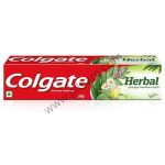Colgate Herbal Anticavity Toothpaste
