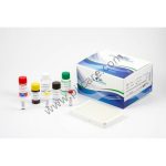 Dengue Igg Elisa Kit