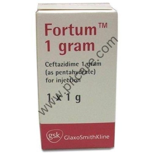 Fortum 1gm Injection
