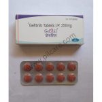Gefshil 250mg Tablet