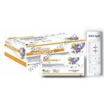Hav Igm Rapid Test