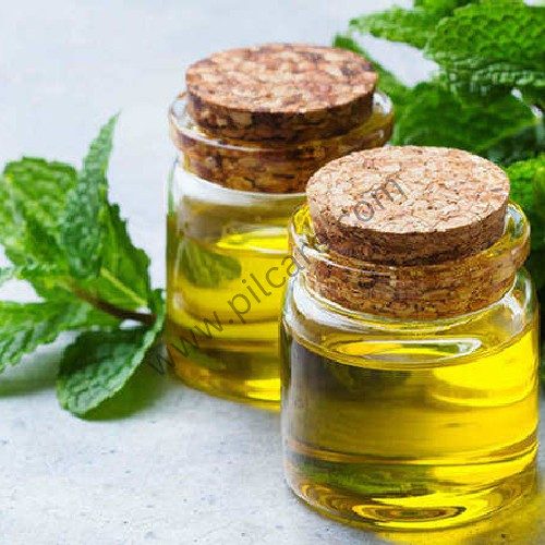 Mentha Oil